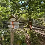 Alpesi faház Rehberg Huette *